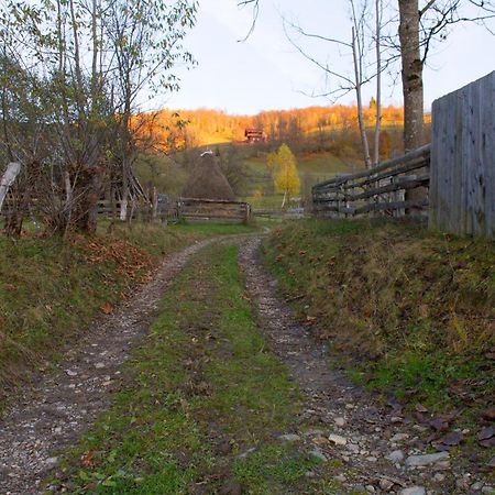 Kings Valley - Sunny Botesti Cîmpeni Eksteriør bilde