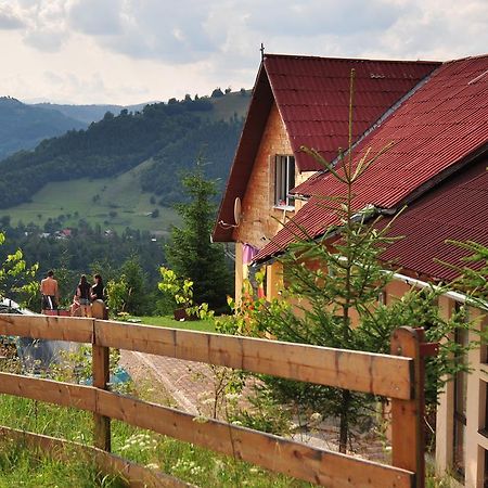 Kings Valley - Sunny Botesti Cîmpeni Rom bilde