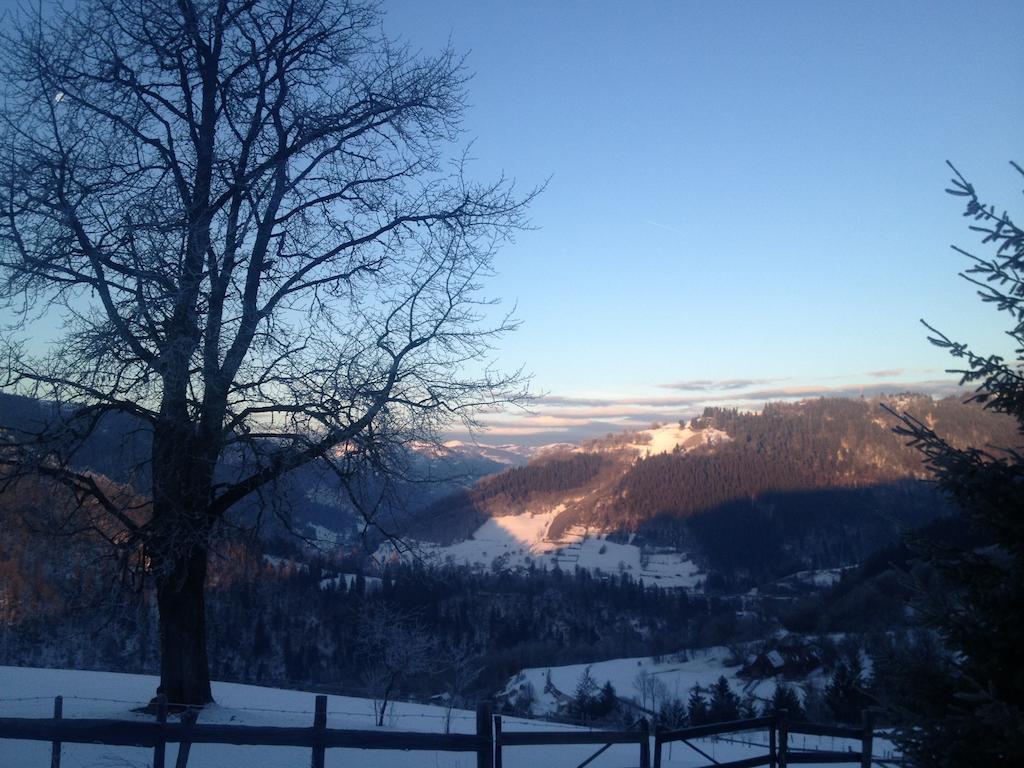 Kings Valley - Sunny Botesti Cîmpeni Eksteriør bilde
