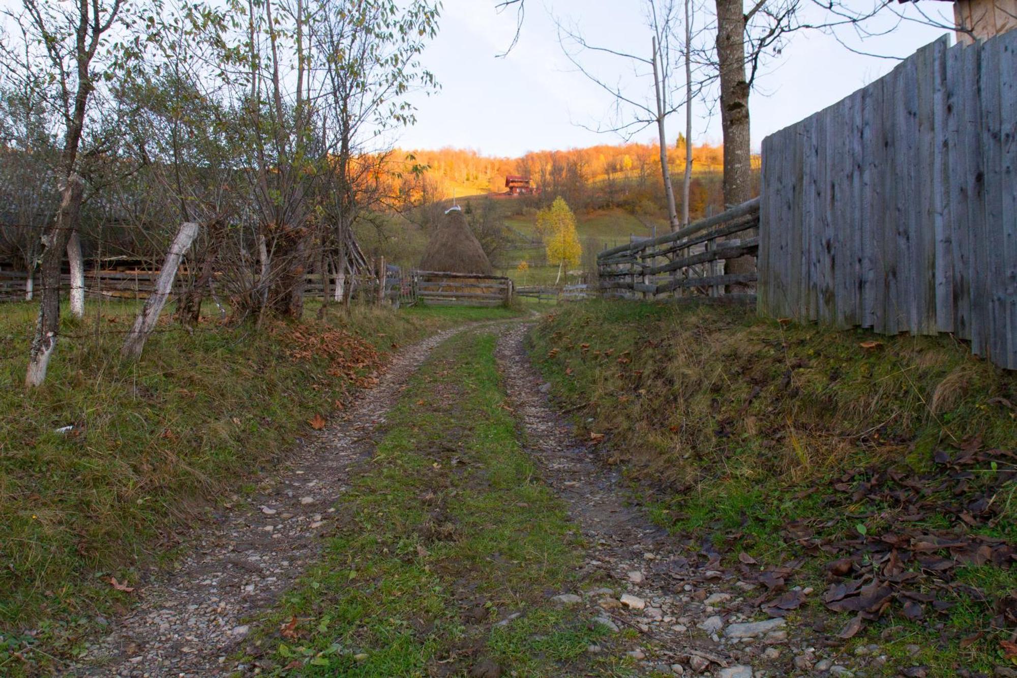 Kings Valley - Sunny Botesti Cîmpeni Eksteriør bilde