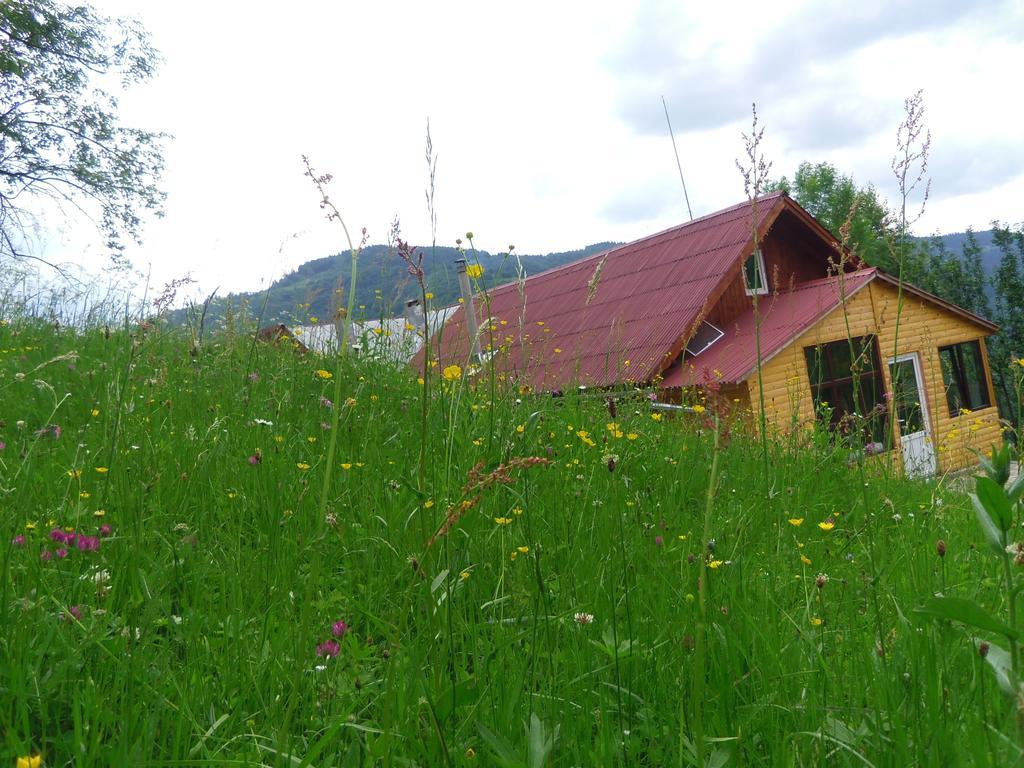 Kings Valley - Sunny Botesti Cîmpeni Eksteriør bilde